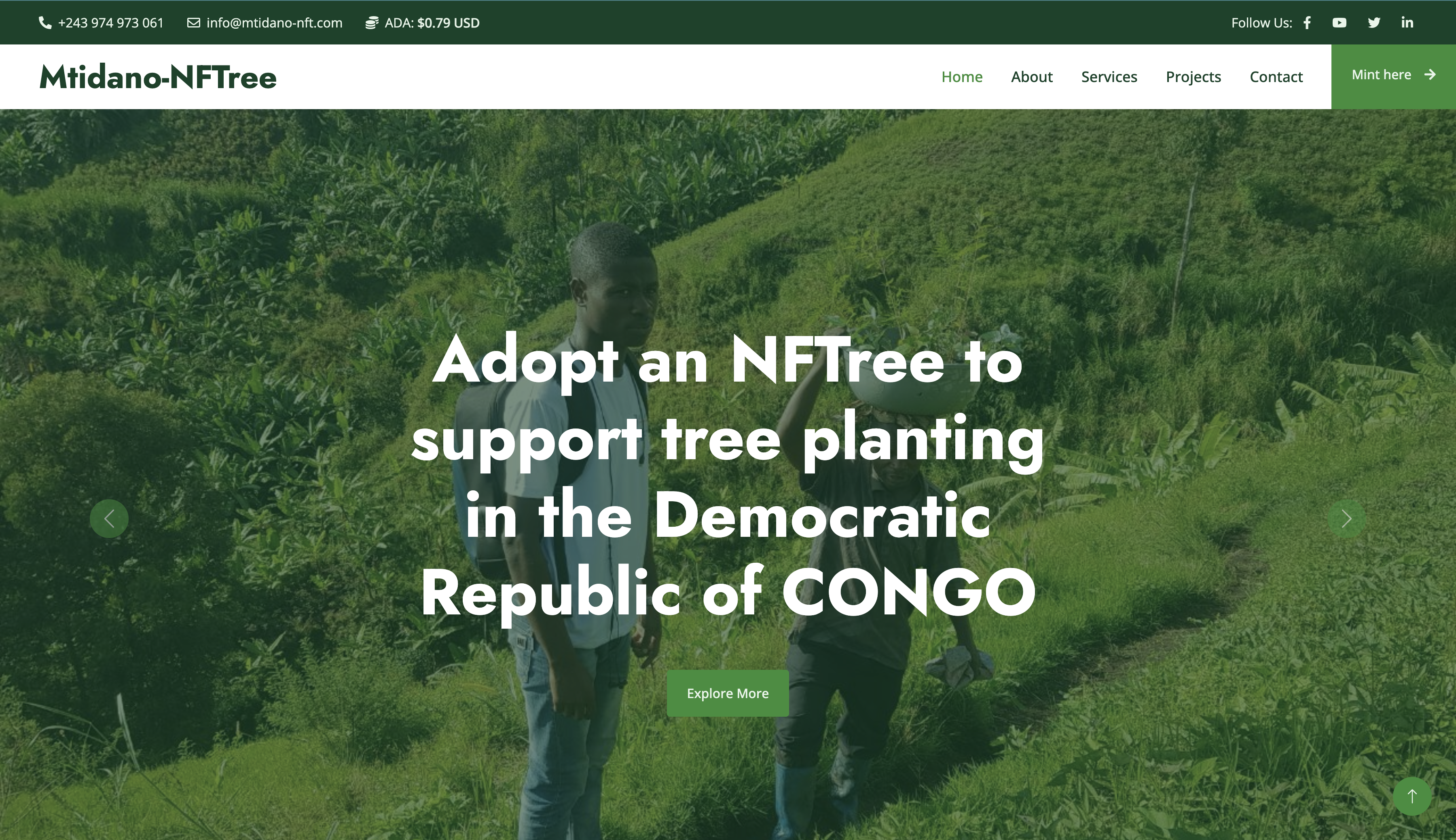 Mtidano: NFTrees 4 Erosion Control